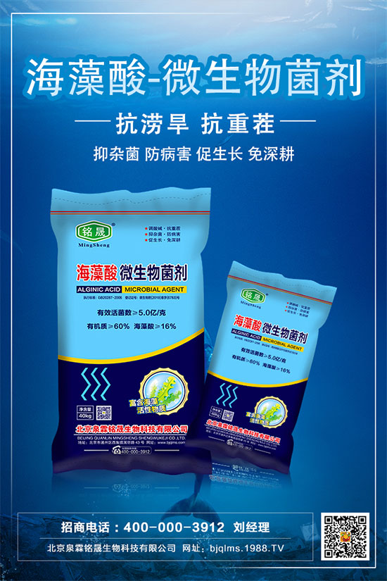 板栗只開(kāi)花不結(jié)果是什么原因?板栗不掛果的解決措施!