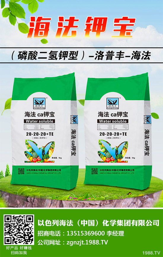 ⛷��Ј�(ch��ng)�r(ji��)��