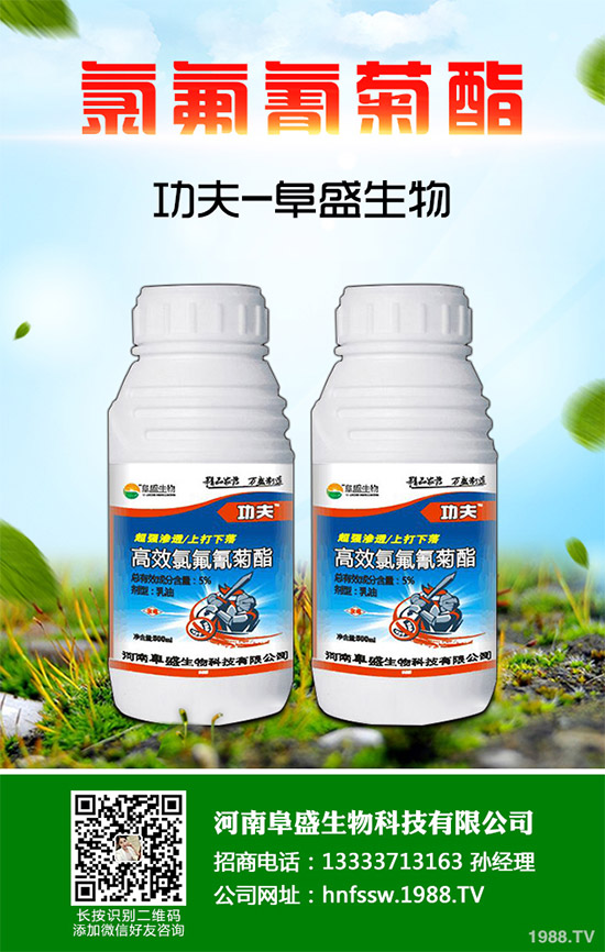 ���x��������