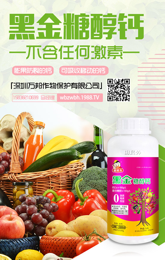 花期將至！棗樹落花落果該怎么辦？棗樹落花落果原因及防止措施！