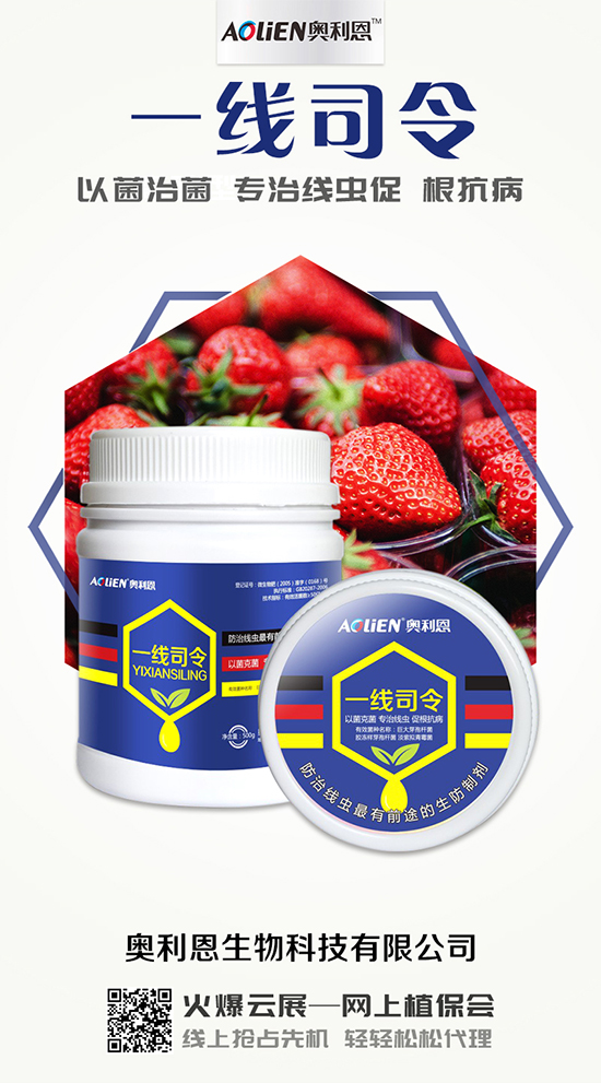 香瓜育苗期的水肥管理,香瓜施肥的注意事項(xiàng)!