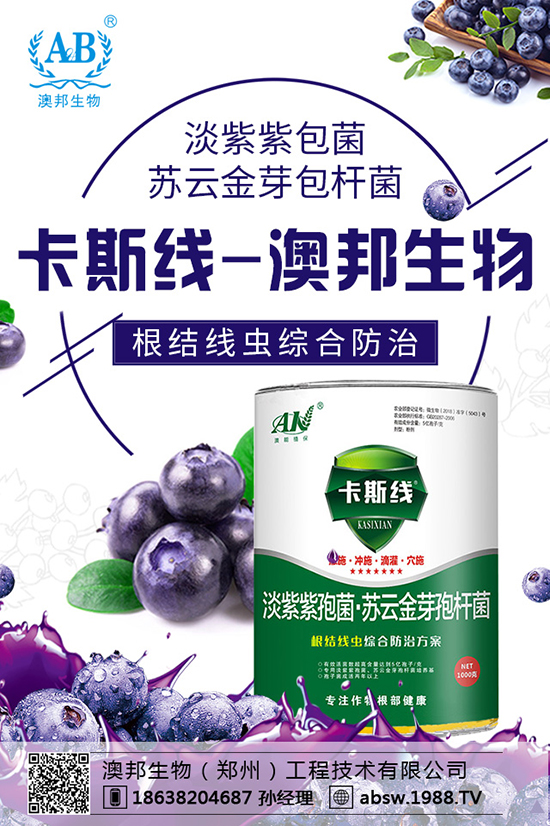 ���ײ��N������������������x�N�����ײ��Nע�������