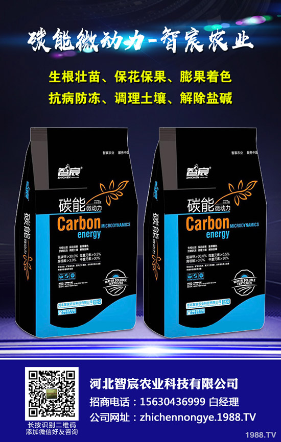 西瓜的需肥特性，西瓜施肥四禁忌！