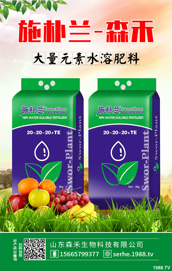 �R���r�񲻔��������ܷ��^�m(x��)��ͦ��2020���R����Nֲǰ������