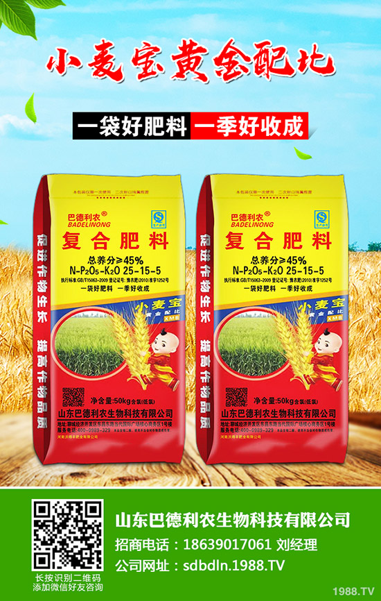 棉花如何種植?播種時(shí)期及播種密度!如何科學(xué)管理?棉花前中后期管理方案!