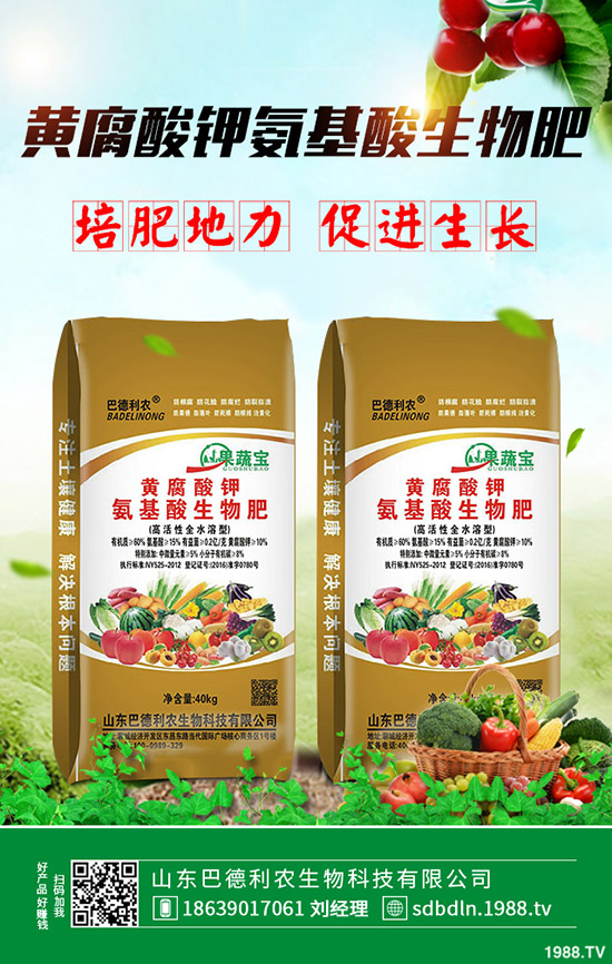 玉木耳和黑木耳區(qū)別有哪些?兩者哪個(gè)營養(yǎng)價(jià)值更高?功效有哪些?