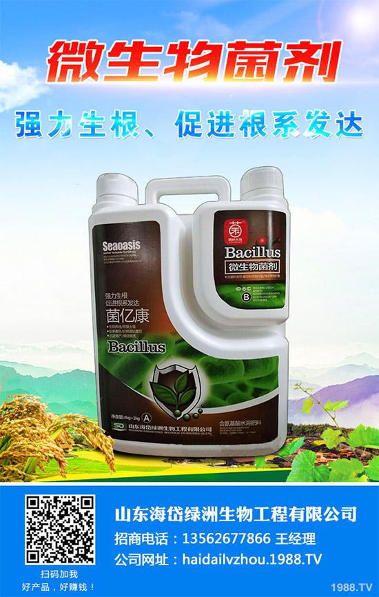 茼蒿該施什么肥料?如何施肥?聊聊茼蒿施肥那些事兒!