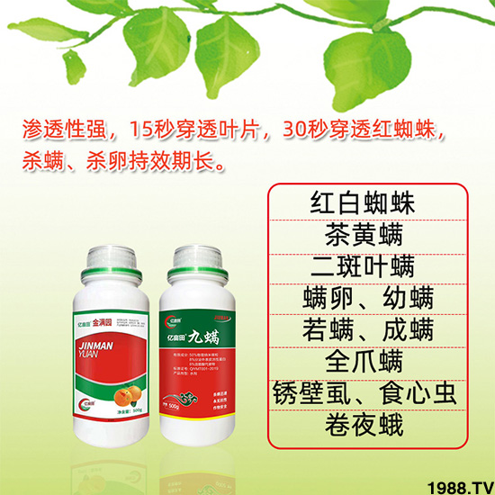 金滿園+九螨-億畝田