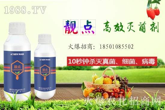 ����Ƭ��ʲô�������ԙ�����ʲô��̎��