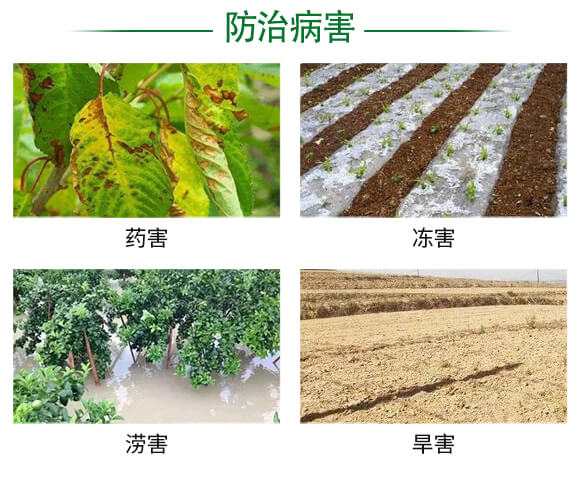 ��������-�W�R˹_03