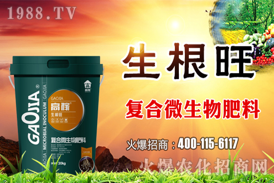 ��(f��)�Ϸ���