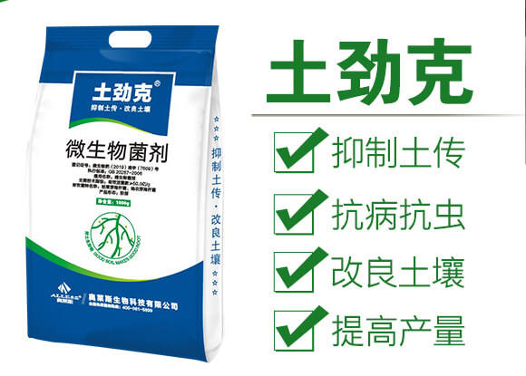 ΢�������-���ſ�-�W�R˹_02