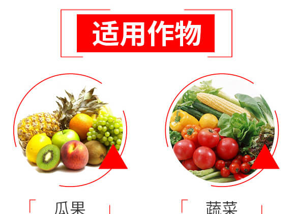 泰森蟲(chóng)擊-1%甲氨基阿維菌素苯甲酸鹽-艾綠農(nóng)_06