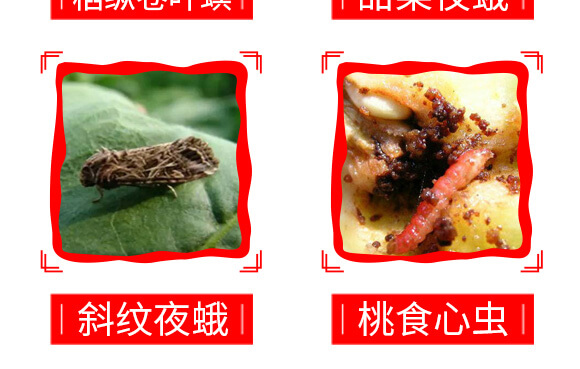 泰森蟲(chóng)擊-1%甲氨基阿維菌素苯甲酸鹽-艾綠農(nóng)_09