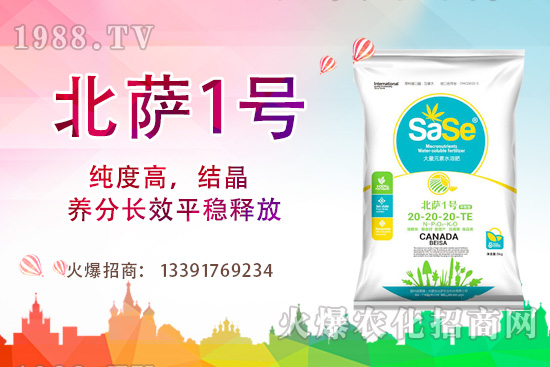 山茶花該怎么養(yǎng)，山茶花養(yǎng)殖方法和注意事項(xiàng)！