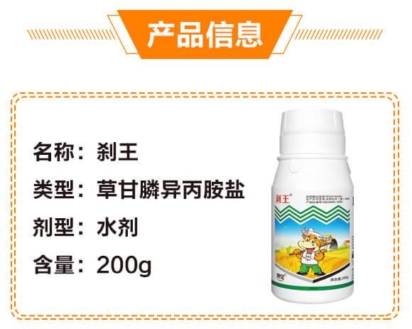 �ݸ�좮������}-�x��-��ʯ����_03