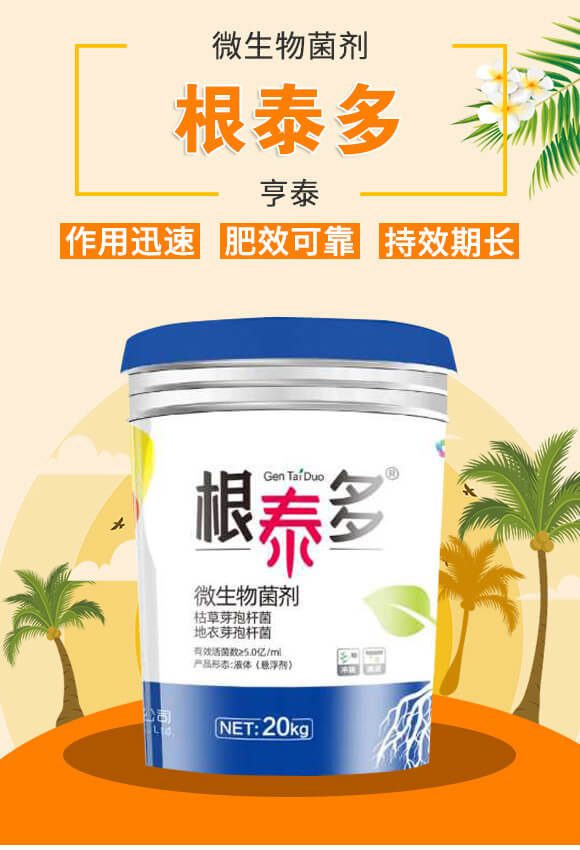 ΢�������-��̩��-��̩_02