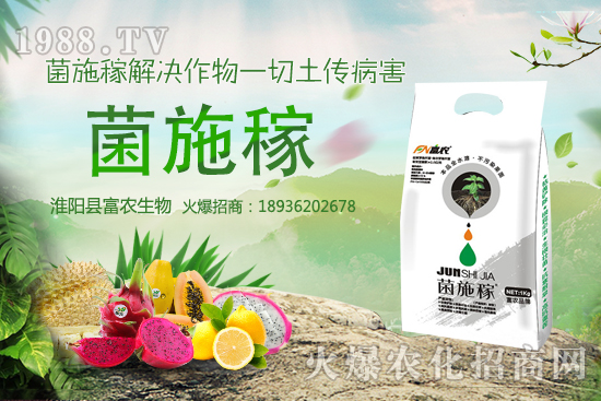 2020年農(nóng)村種野菜賺錢嗎？選擇哪些野菜品種效益高？建議收藏！