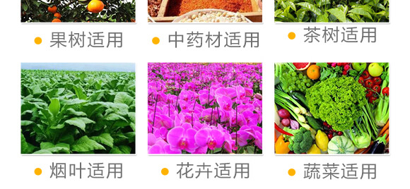 ���}�V��΢��Ԫ�ط�-ʩ��ɭ-��ɭ��_05