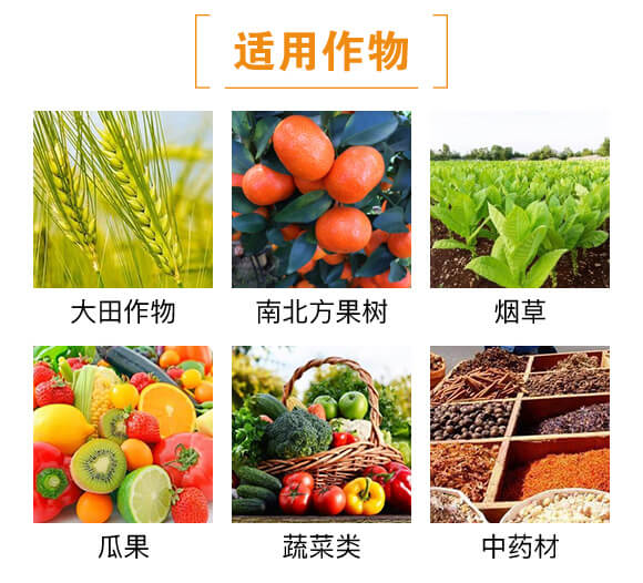 10�|���̼ø��΢�������-Ȫ�����_04