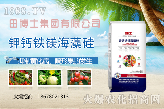 花生重茬會產(chǎn)生哪些影響？如何解決花生重茬問題？