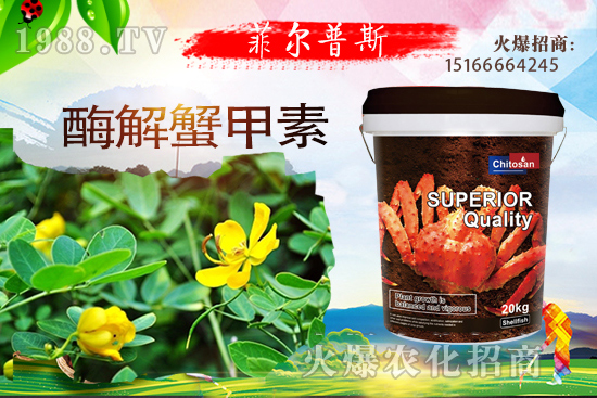 ������ô�Nֲ�������Nֲ���g(sh��)Ҫ�c(di��n)��