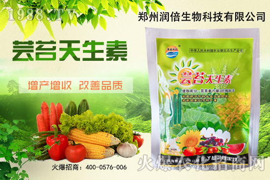 �S�B������ô�������S�B���ڲ��x(ch��ng)��������