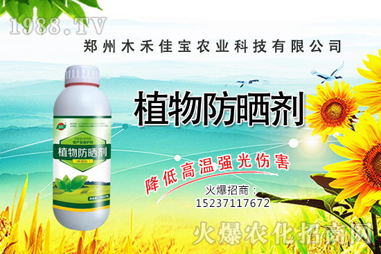 ������Nֲ����Ҫ�c(di��n)����Щ�����������Է�����