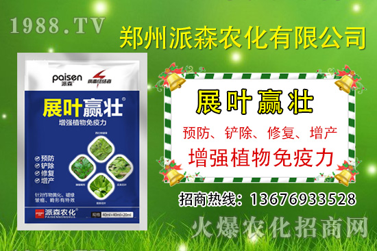 �²�ʲô�r�򲥷N���²��Ј�ǰ����������Nֲ�ɱ�������������