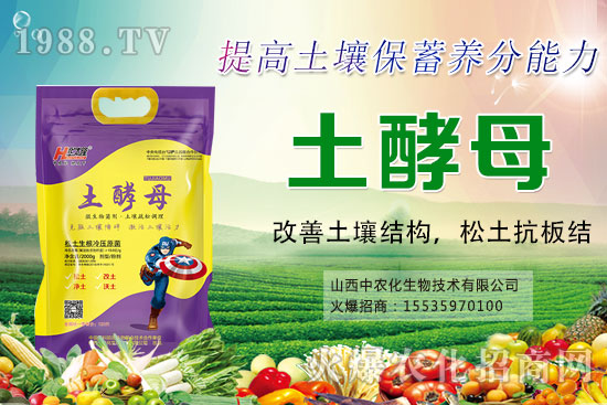 葡萄套袋有哪些好處，葡萄套袋技術(shù)要點(diǎn)及注意事項(xiàng)！