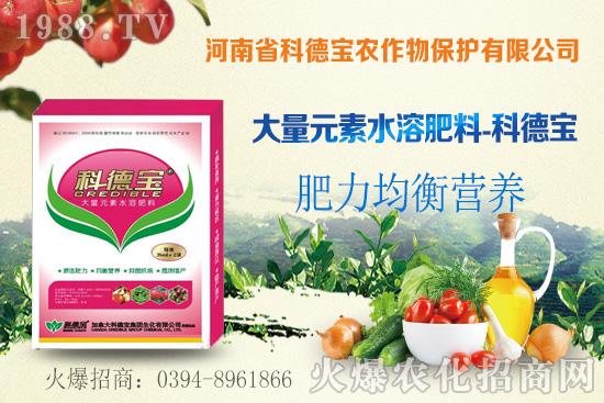 ��֦ʲô�r�g��������֦���A�\��������Щ��