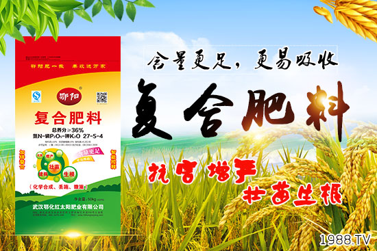 Ѫ������Щ�I(y��ng)�B(y��ng)�r(ji��)ֵ����Ѫ����ʲô��̎��