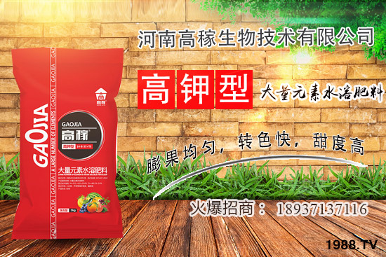 小香蔥種植環(huán)境有什么要求？夏季種植小香蔥的技巧！
