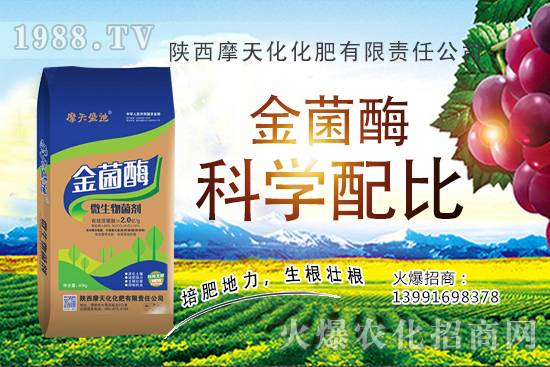 �Nһ���O(p��ng)���ĳɱ��Ƕ������ж�������(r��n)���O(p��ng)���Nֲ���g(sh��)�c������