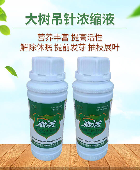 ����ᘝ�sҺ-����-�³�_01