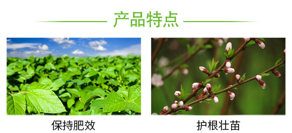茄果通用濃縮型-新蚜虱凈-弗潤(rùn)德_05