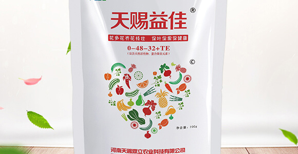 鼎豐賦能-天賜鼎立_02