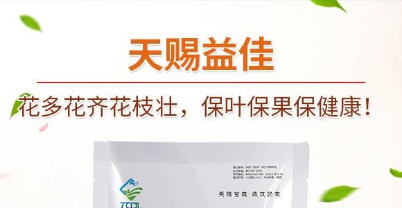 鼎豐賦能-天賜鼎立_01