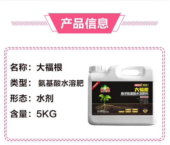 �Ҹ�������ˮ�ܷ���-�󸣸�-����_03