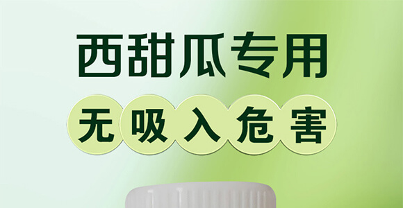 ����ό�(zhu��n)��-һ��һƬ_01