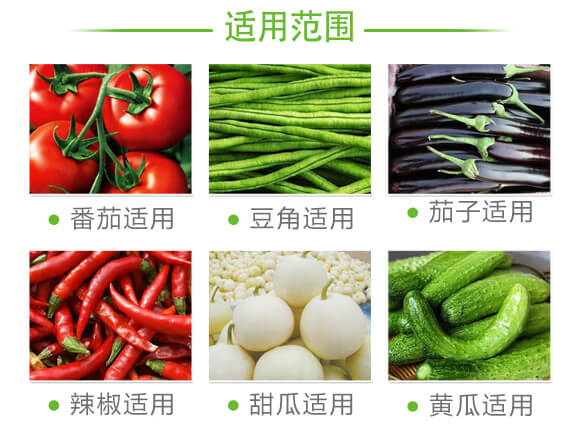 茄果通用濃縮型-新蚜虱凈-弗潤(rùn)德_07