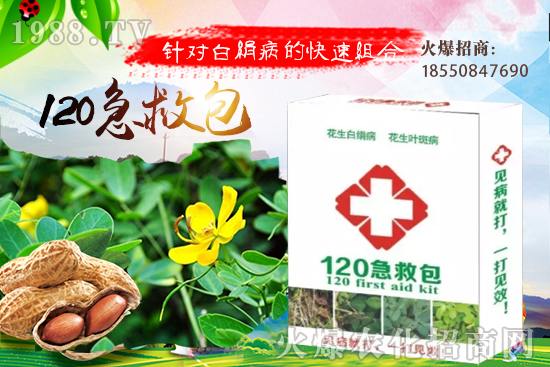 慈姑育苗方法有哪些？慈菇怎么移栽定植？