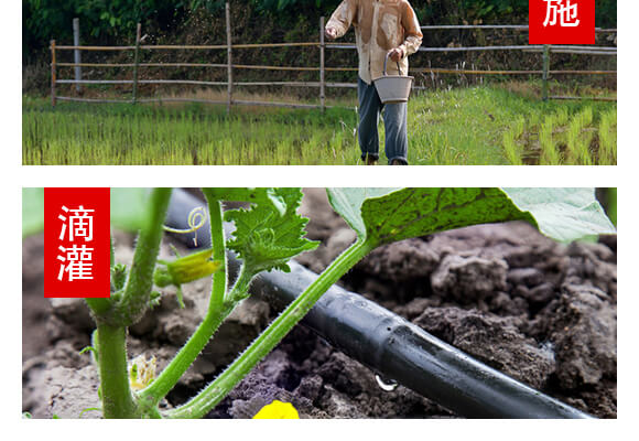 山東濟(jì)寧金網(wǎng)聯(lián)配方肥有限公司產(chǎn)品詳情頁2_08