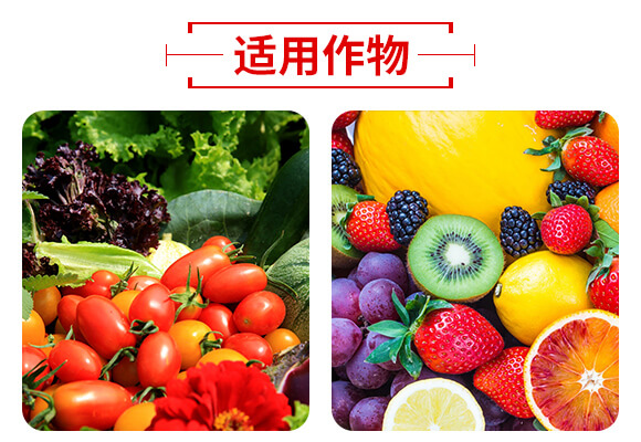 山東濟(jì)寧金網(wǎng)聯(lián)配方肥有限公司產(chǎn)品詳情頁2_05