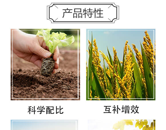 鼎豐賦能-天賜鼎立_05