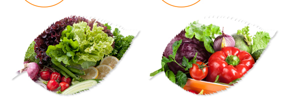 ɵ��-���S_08