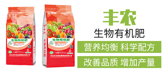 �����ЙC�ʣ��t��-�S�r(n��ng)_03