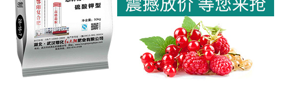 ������͏�(f��)�Ϸ���25-14-6-���(y��ng)_05