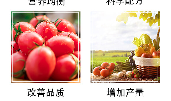 �����ЙC�ʣ��t��-�S�r(n��ng)_05