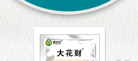 �����ٻ���ᘷ�辄�-��ؔ(c��i)-�G������_02